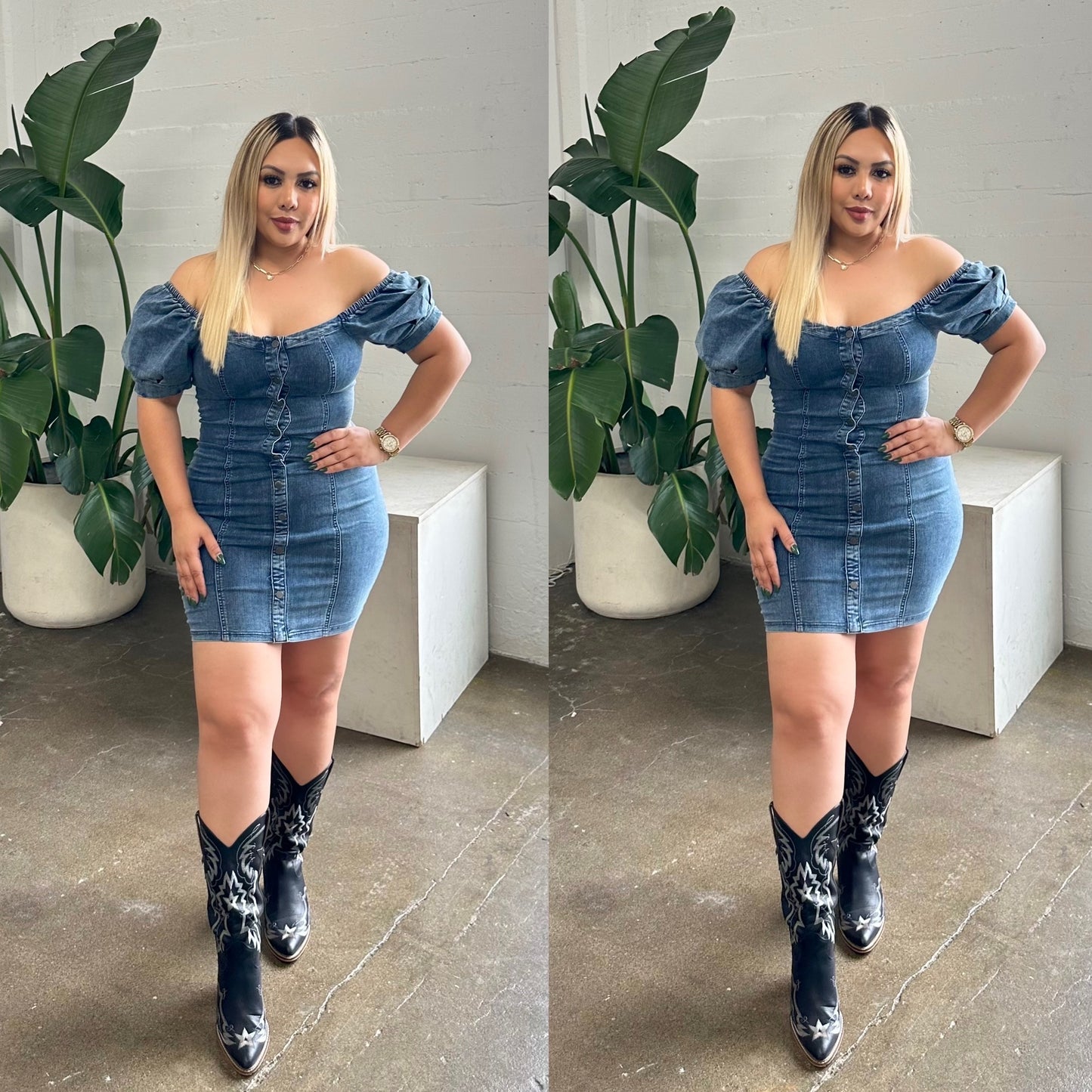 Ivy Denim Dress
