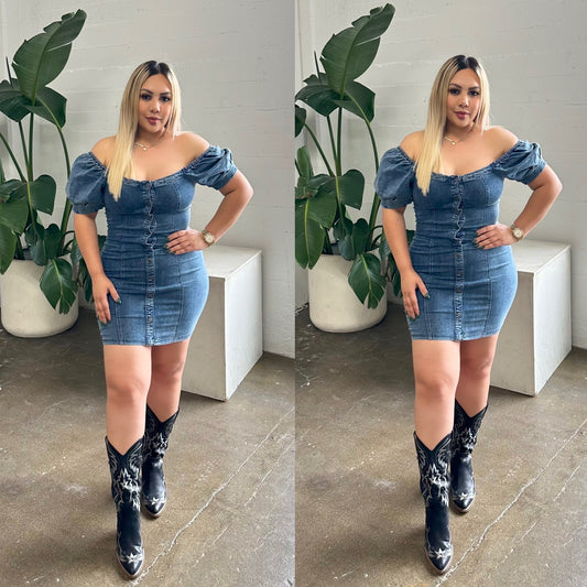 Ivy Denim Dress